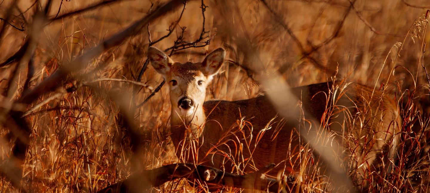 Quality Inn New River Gorge | Fayetteville | 2